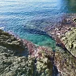 Apartamento Bilocale Con Il Mare Dentro